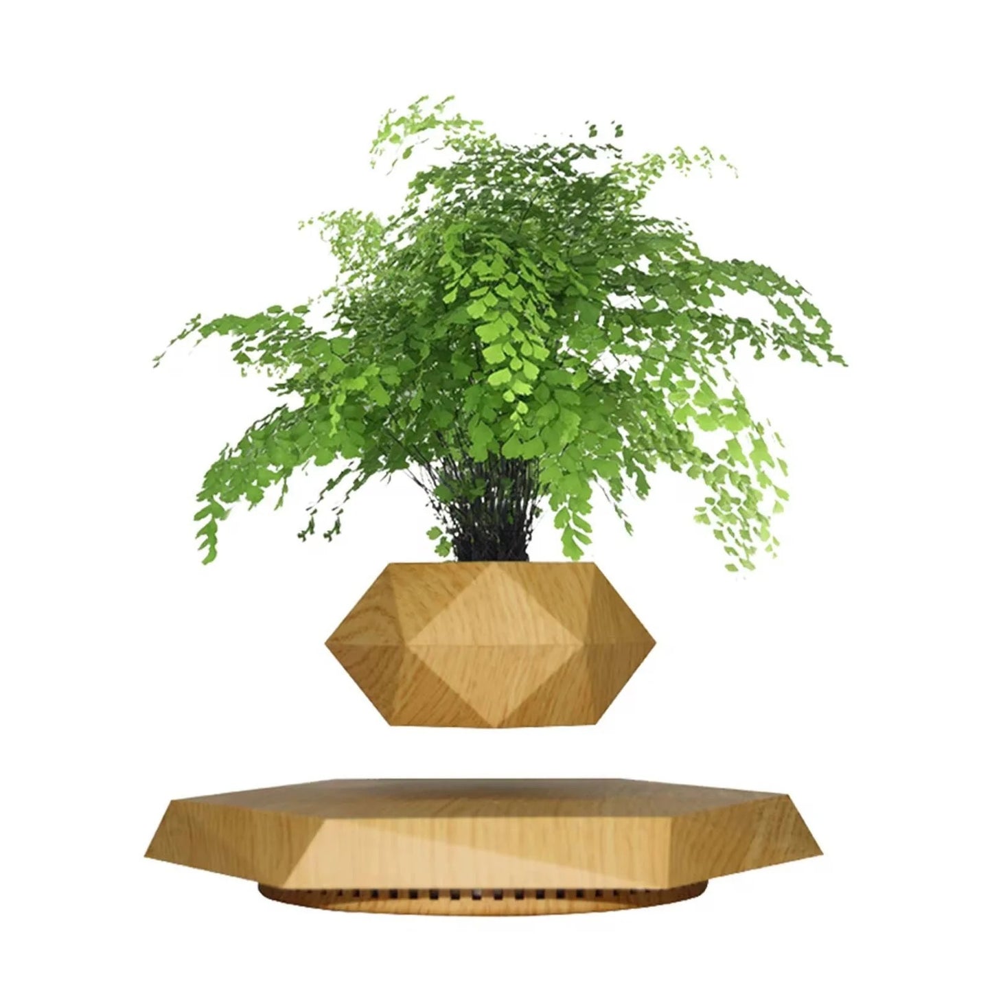 Levitating Bonsai Planter – Anti-Gravity Magnetic Floating Pot for Plants & Home Décor 🌿✨
