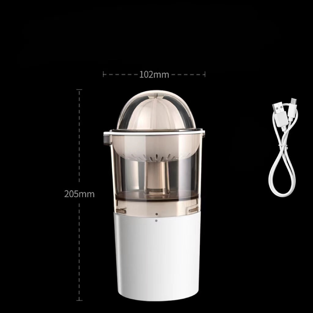 Mini Juicer