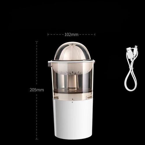 Mini Juicer