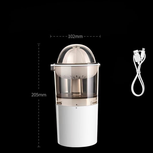 Mini Juicer