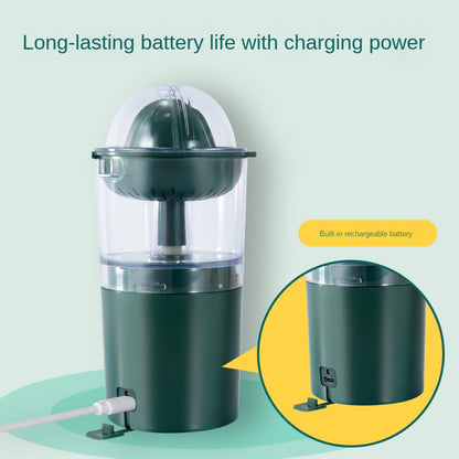 Mini Juicer
