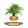 Levitating Bonsai Planter – Anti-Gravity Magnetic Floating Pot for Plants &amp; Home Décor 🌿✨