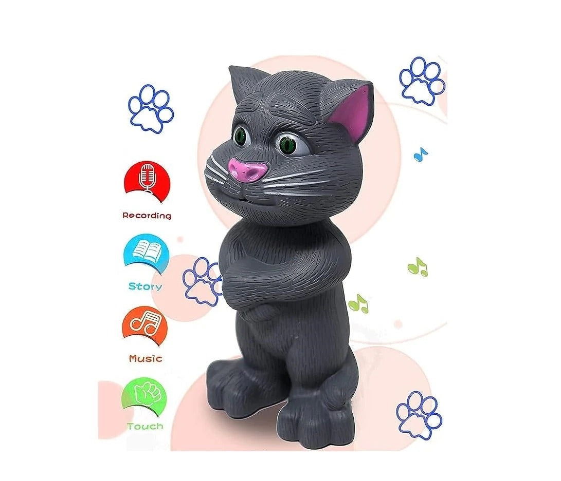 Talking Toy