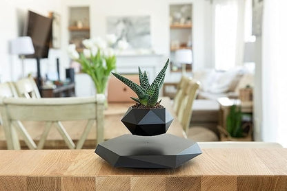 Levitating Bonsai Planter – Anti-Gravity Magnetic Floating Pot for Plants &amp; Home Décor 🌿✨