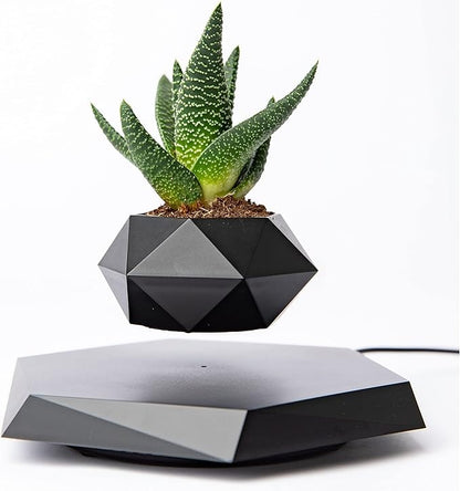 Levitating Bonsai Planter – Anti-Gravity Magnetic Floating Pot for Plants &amp; Home Décor 🌿✨