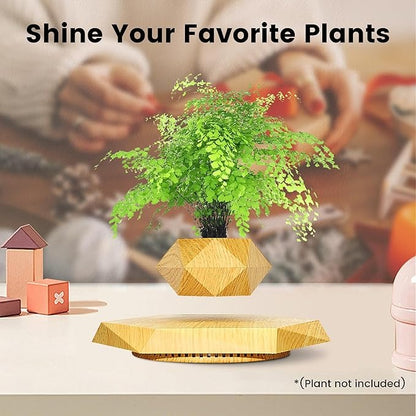 Levitating Bonsai Planter – Anti-Gravity Magnetic Floating Pot for Plants &amp; Home Décor 🌿✨
