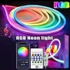 LED Neon Rope Light – 5 Meters IC RGB Smart Strip (App Controlled)