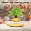 Levitating Bonsai Planter – Anti-Gravity Magnetic Floating Pot for Plants &amp; Home Décor 🌿✨