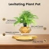 Levitating Bonsai Planter – Anti-Gravity Magnetic Floating Pot for Plants &amp; Home Décor 🌿✨